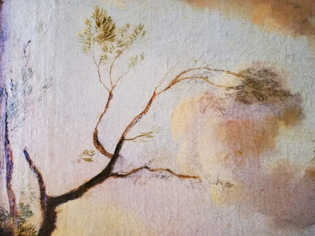 Oil On Canvas, Framed  -photo-3