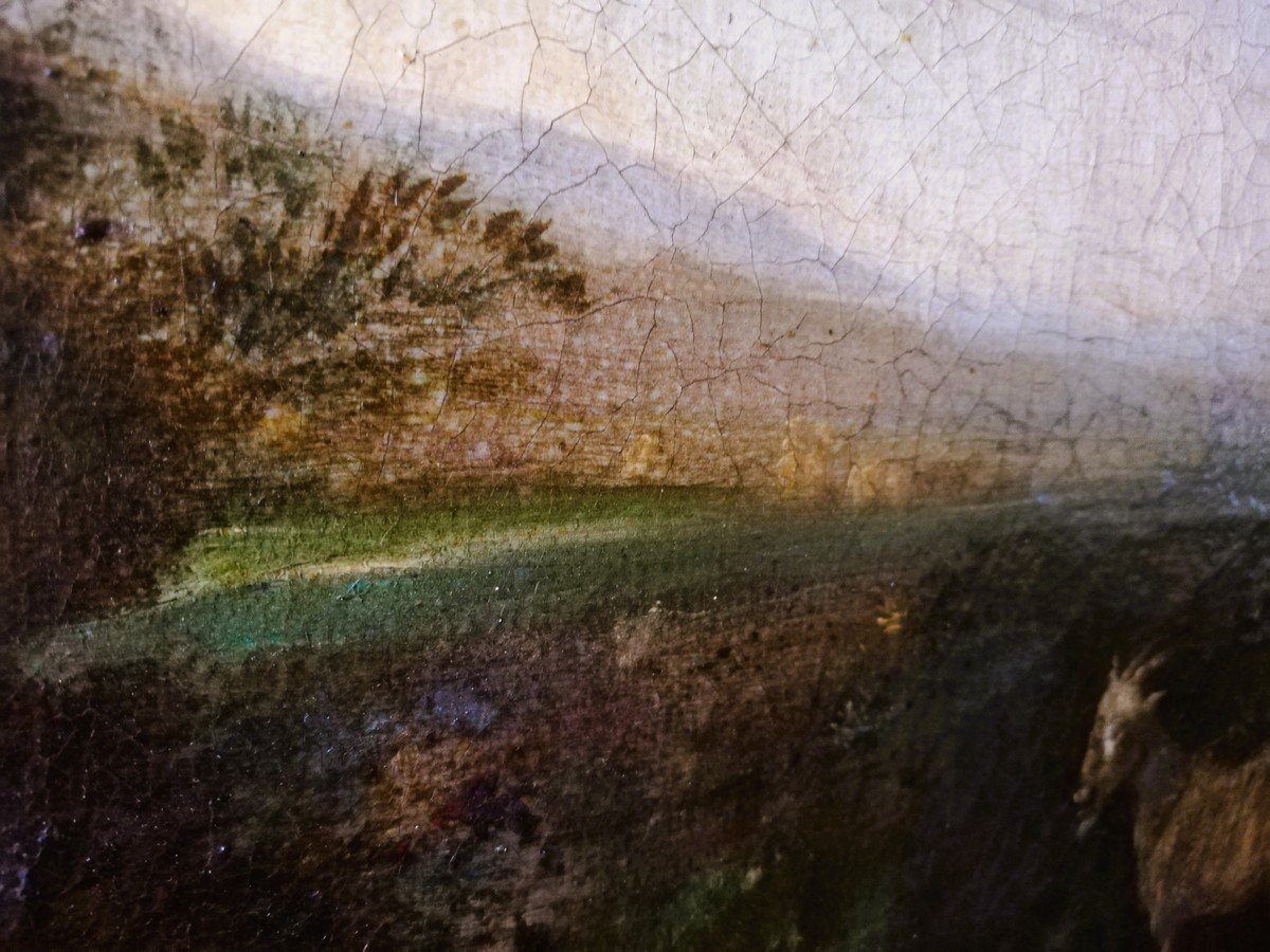 Oil On Canvas, Framed  -photo-3