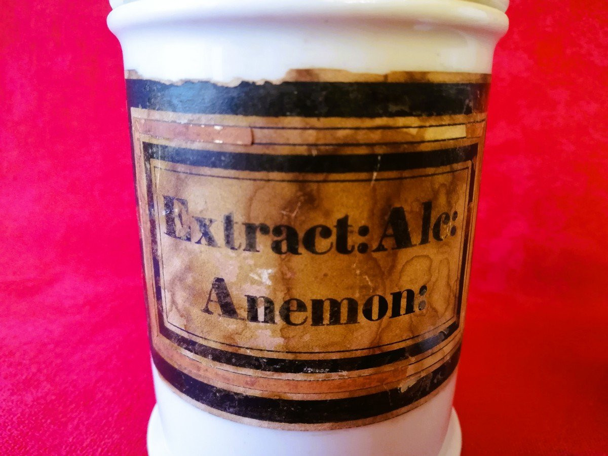 Two Medicine Jars -photo-5