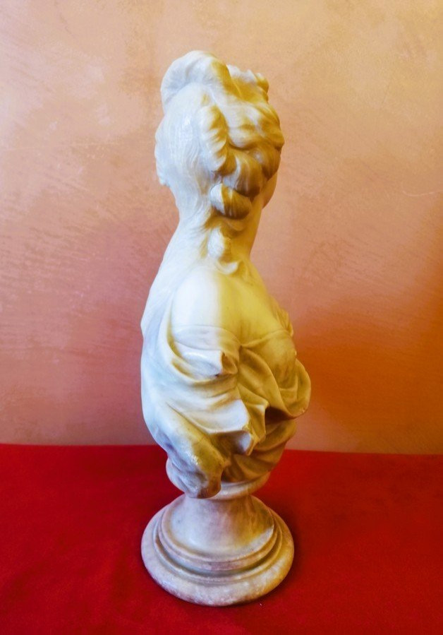 Buste en marbre -photo-1