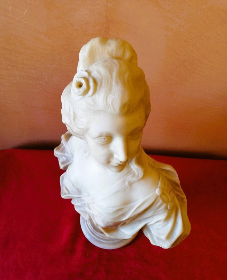 Buste en marbre -photo-2