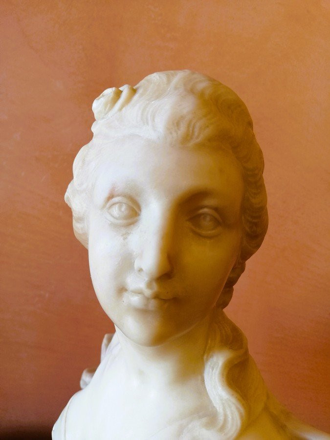 Buste en marbre -photo-3
