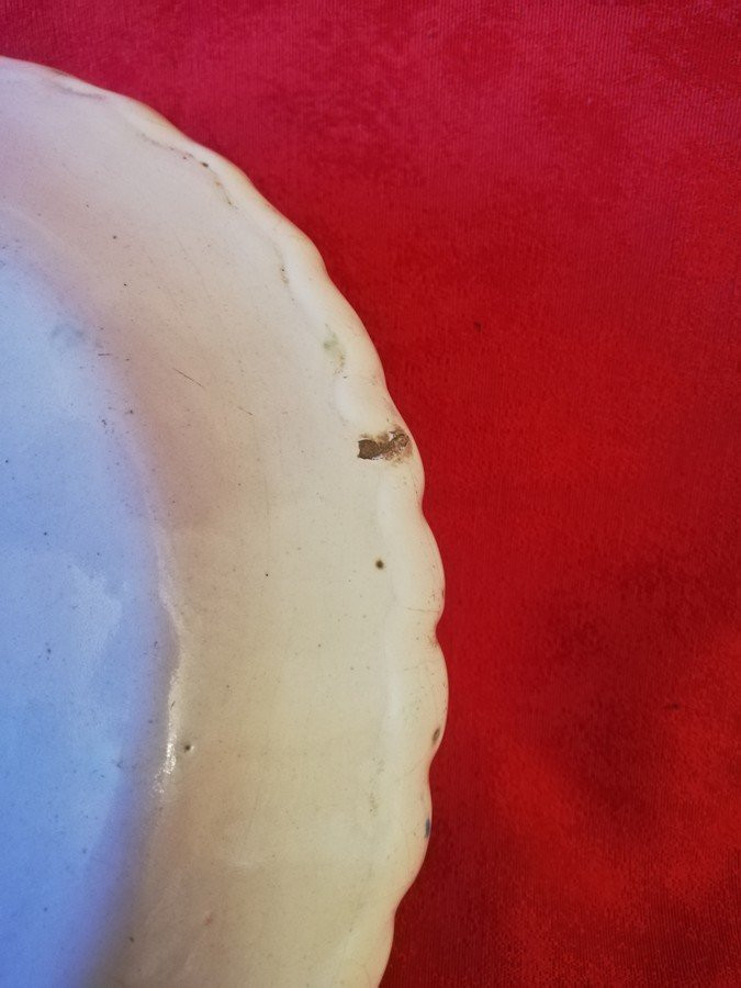 Scalloped Plate-photo-4