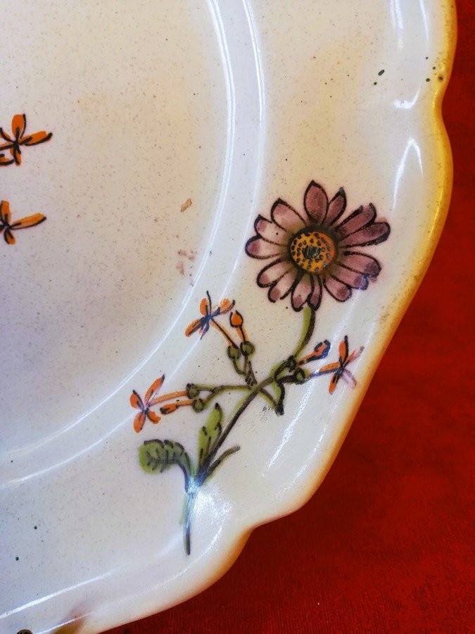 Marseille Plate -photo-3