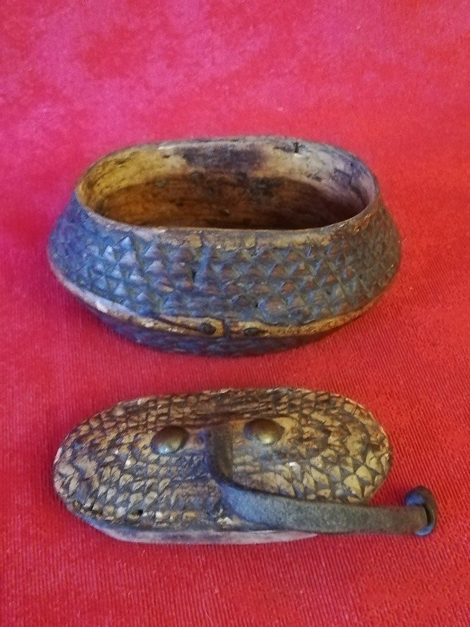 Rat-tail Snuffbox-photo-2