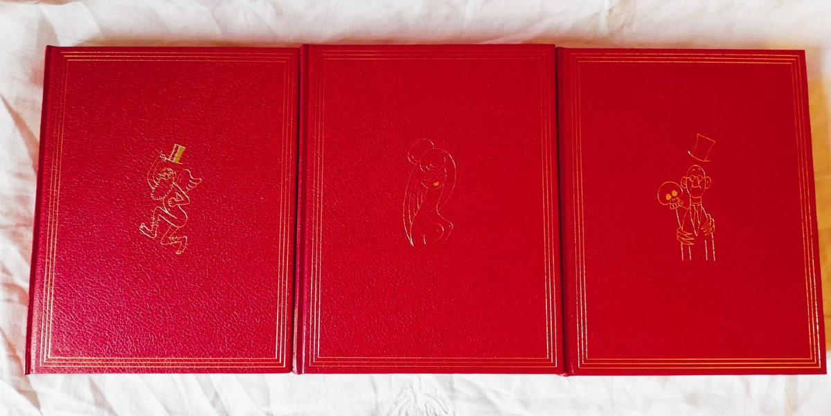 Three Interlocking Books By Docteur Besançon, Illustrated By Dubout-photo-3