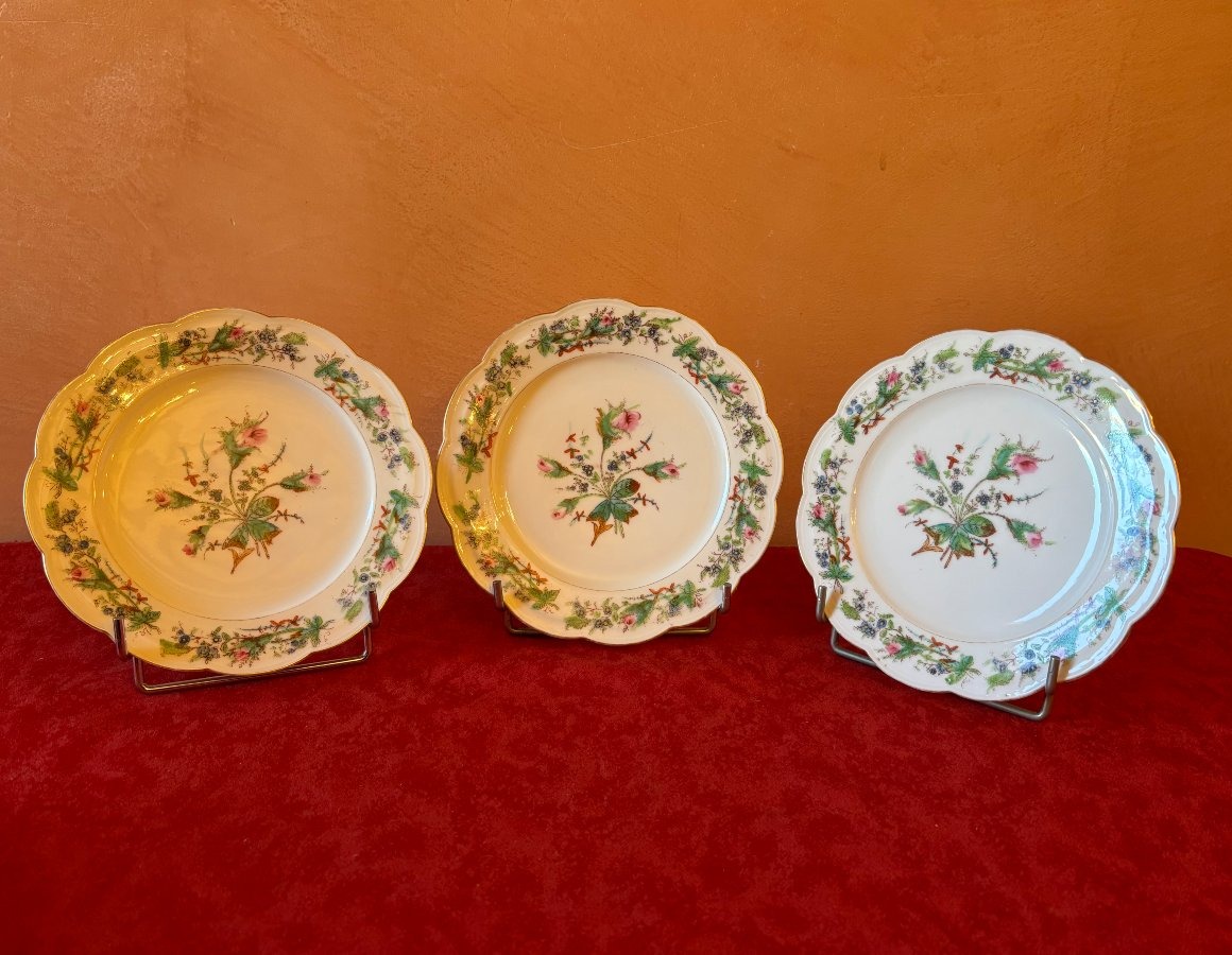 6 assiettes en porcelaine fine-photo-3