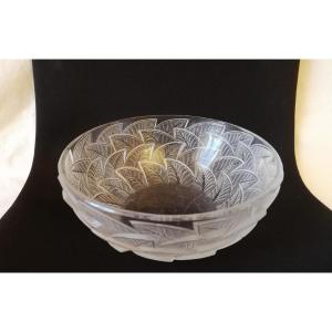 Coupe Lalique aux ormeaux