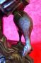 1755881-69fc86e9a63bc.jpg