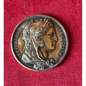 1876 Silver Parliamentary Identification Medal