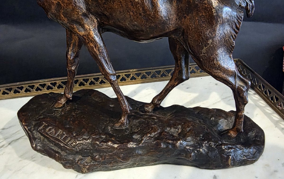 Sculpture en bronze par Thomas Cartier  "Cerf élaphe "-photo-3