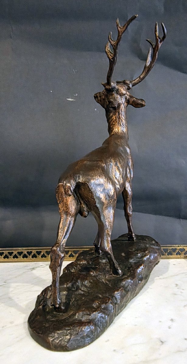 Sculpture en bronze par Thomas Cartier  "Cerf élaphe "-photo-1