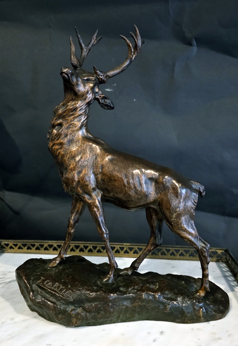 Sculpture en bronze par Thomas Cartier  "Cerf élaphe "