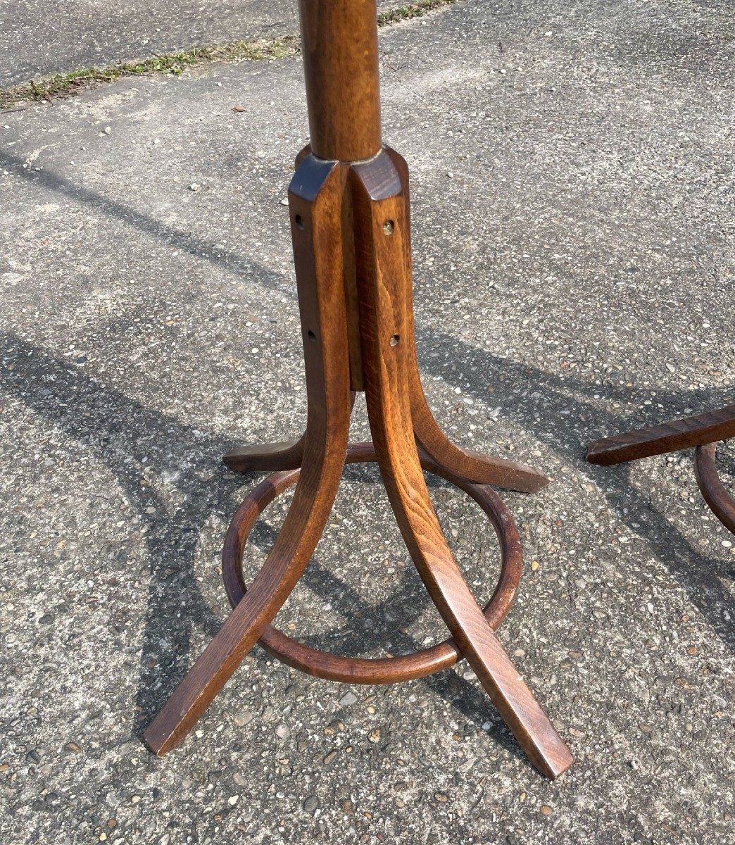 2 Perroquets ou 2 Portes manteaux BAUMANN-photo-2