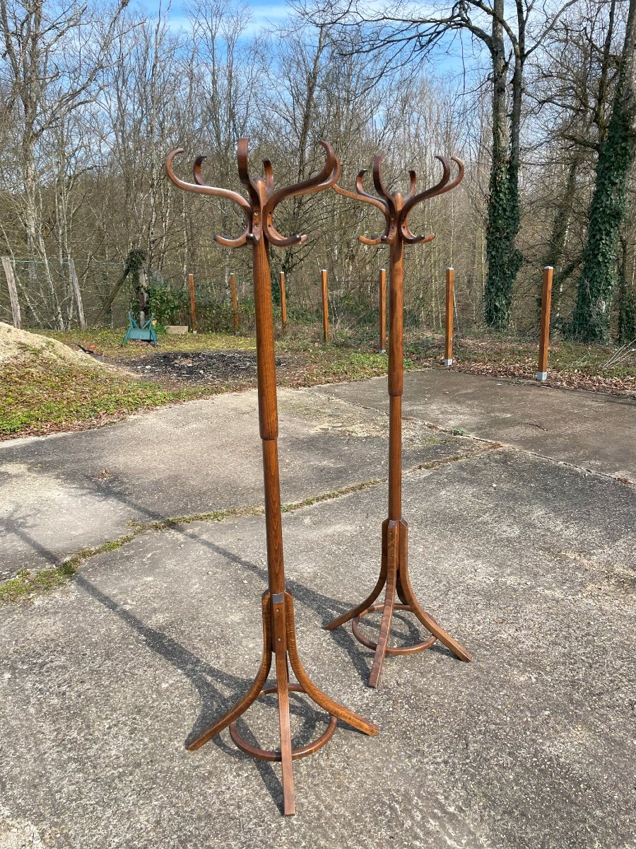 2 Perroquets ou 2 Portes manteaux BAUMANN-photo-2