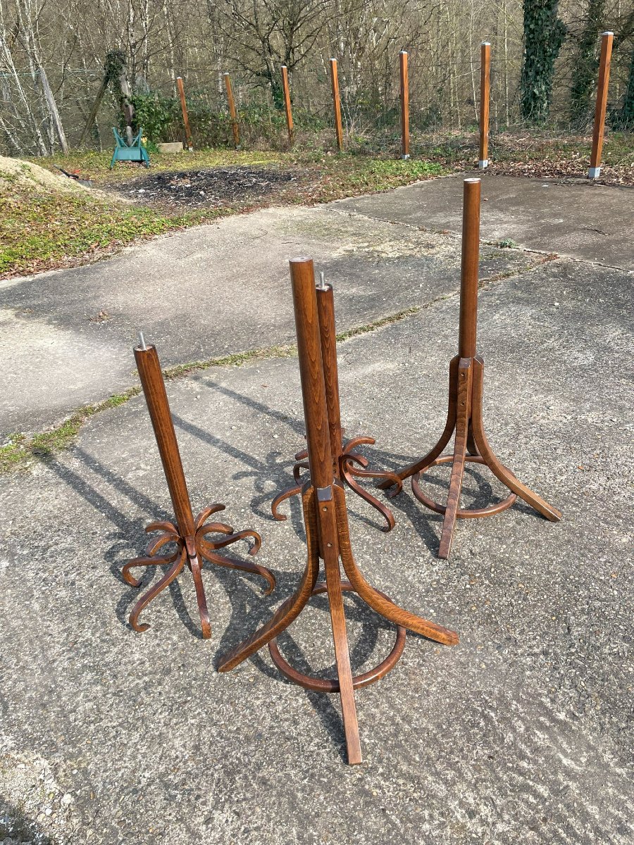 2 Perroquets ou 2 Portes manteaux BAUMANN-photo-5