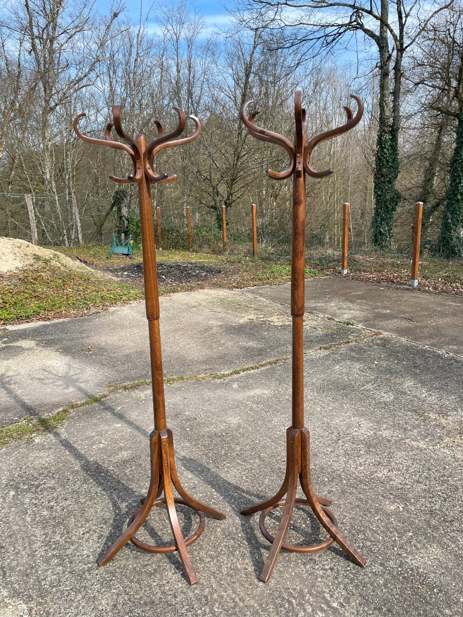 2 Perroquets ou 2 Portes manteaux BAUMANN
