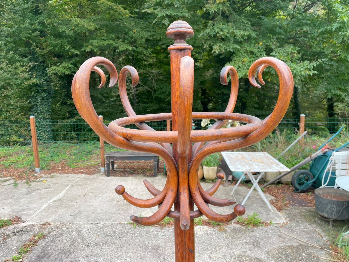 Thonet Parrot Mental Doors 1890-1910-photo-2