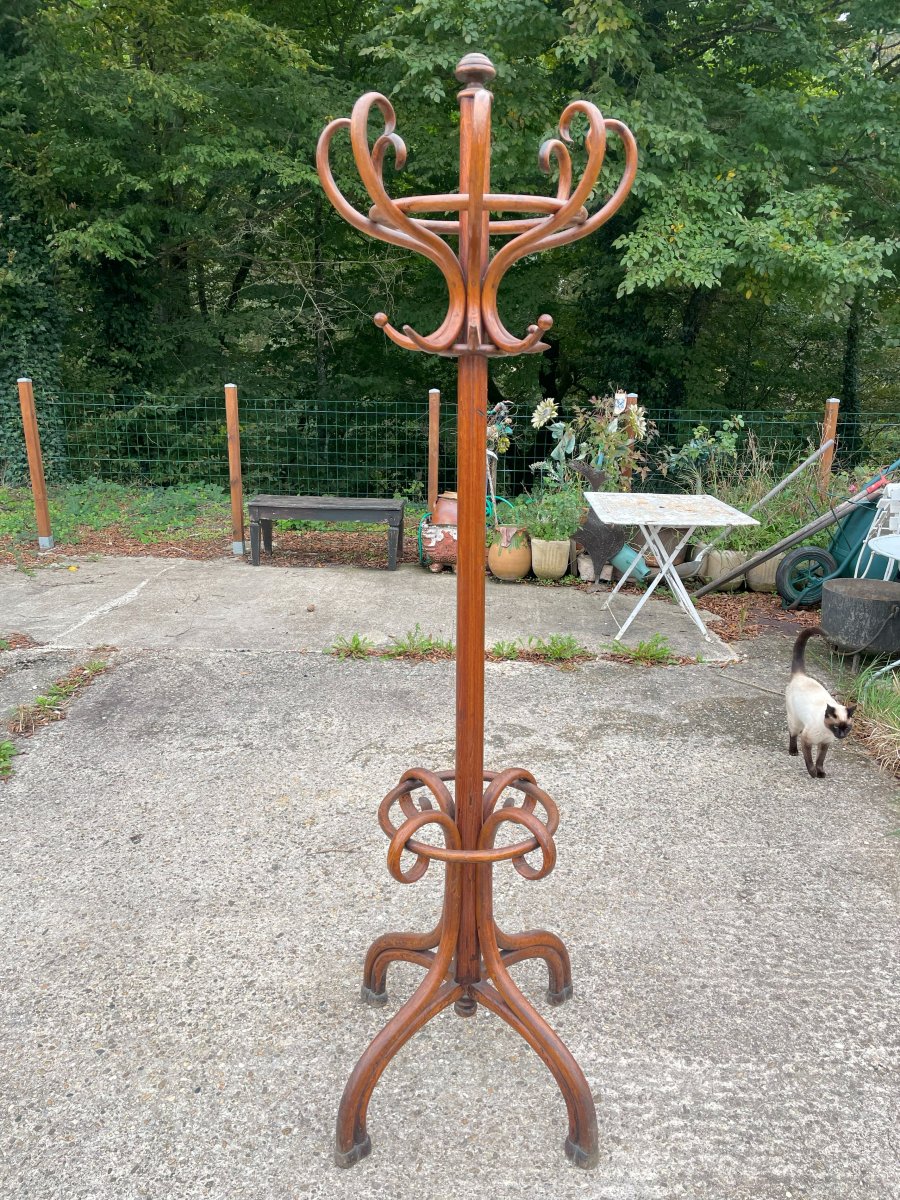 Thonet Parrot Mental Doors 1890-1910-photo-3