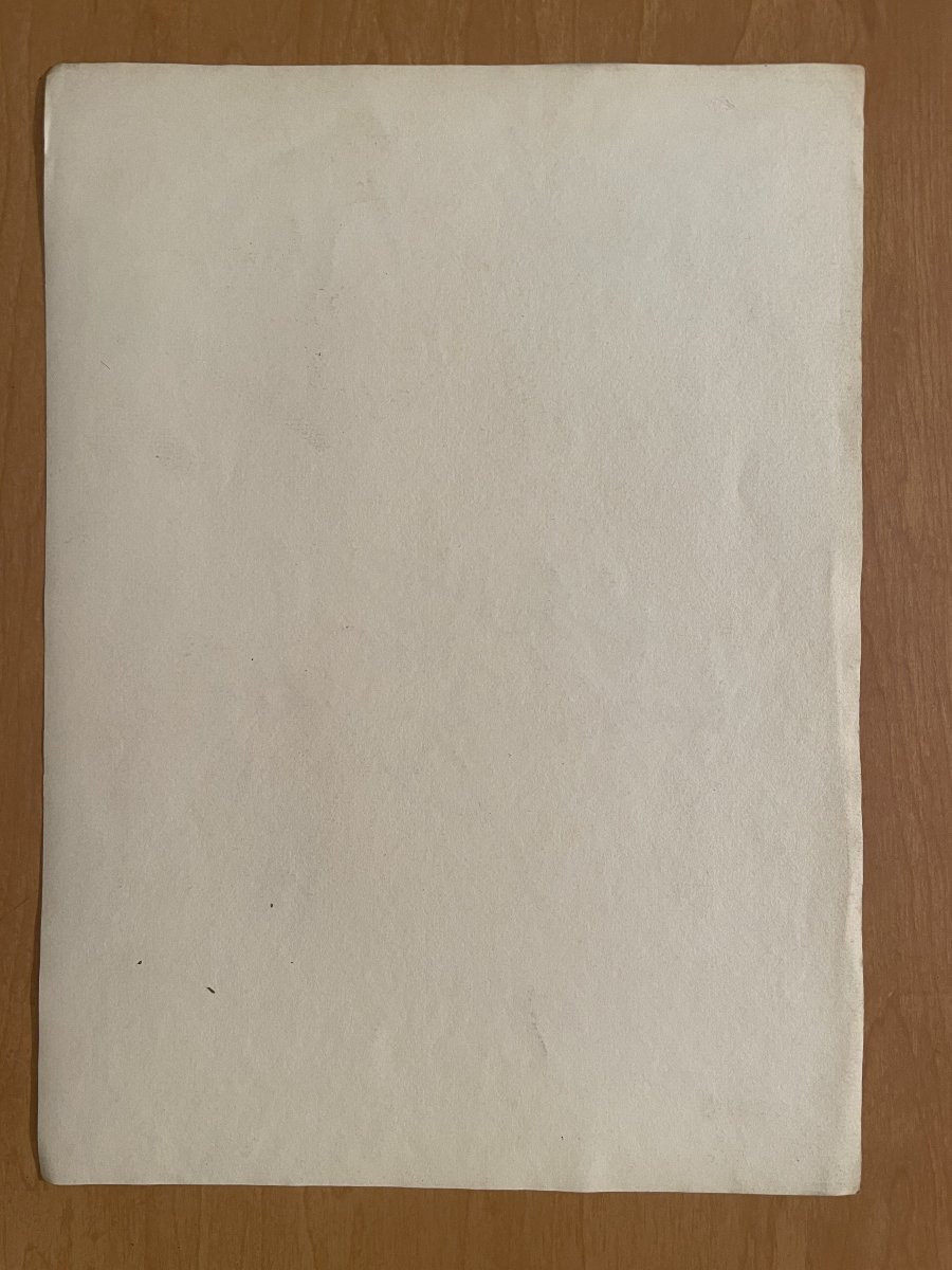 Drawing In 1899 By Louis Bombled "the Porpoise"  -photo-4