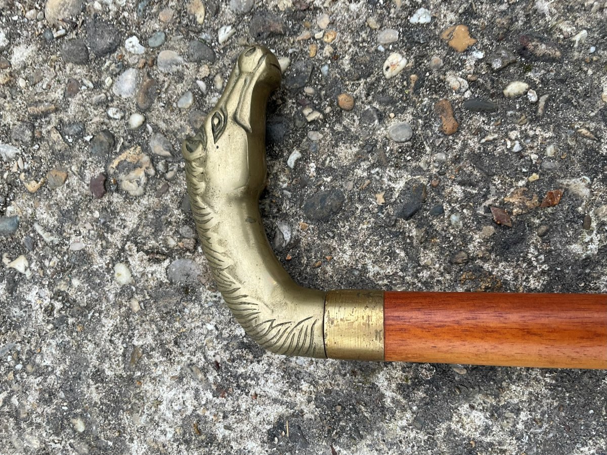 Canne cheval à système pour boire un coup -photo-2