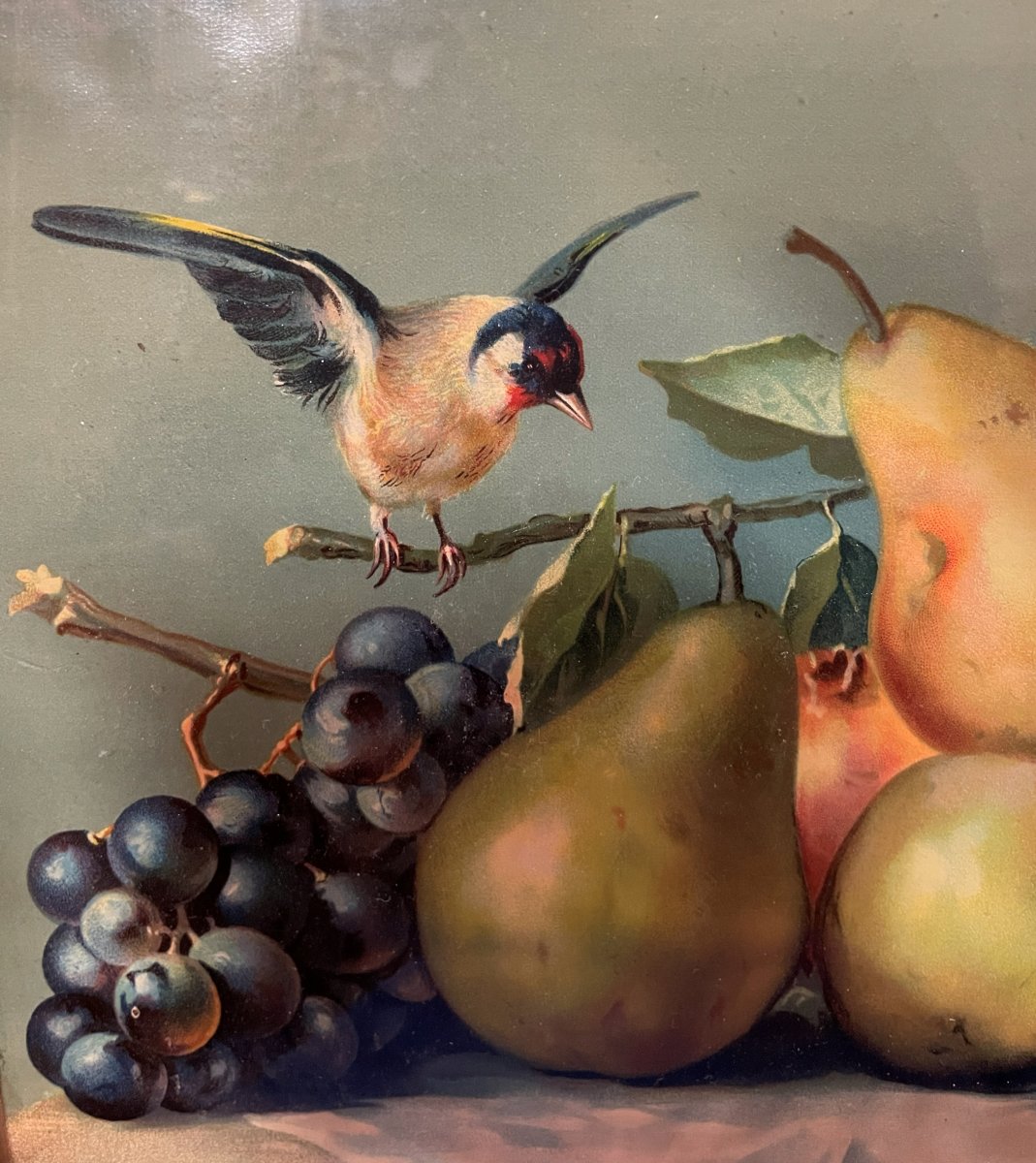 Chromolithograph "the Fruits"  -photo-3