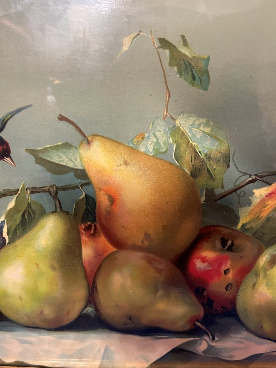 Chromolithograph "the Fruits"  -photo-3