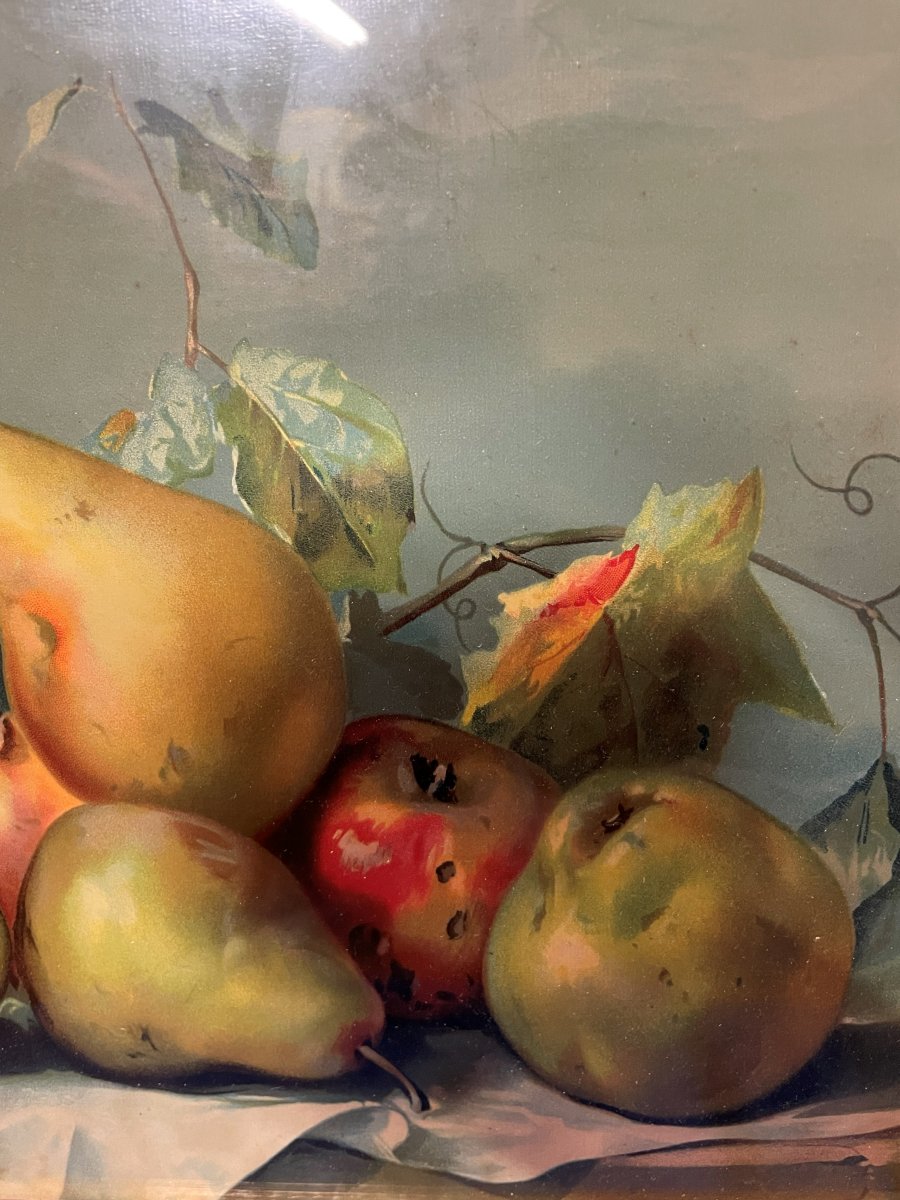Chromolithograph "the Fruits"  -photo-4