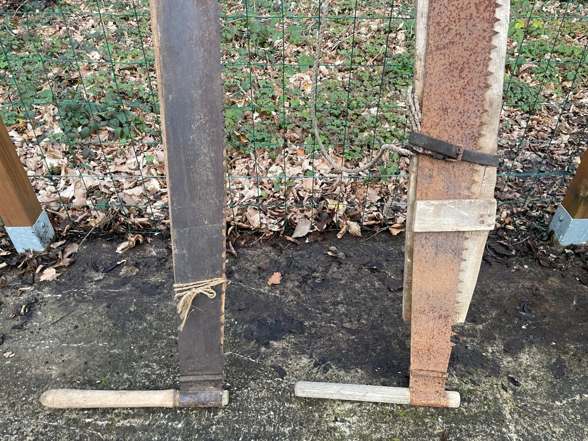 2 vielles scies de bucherons Bressans -photo-1