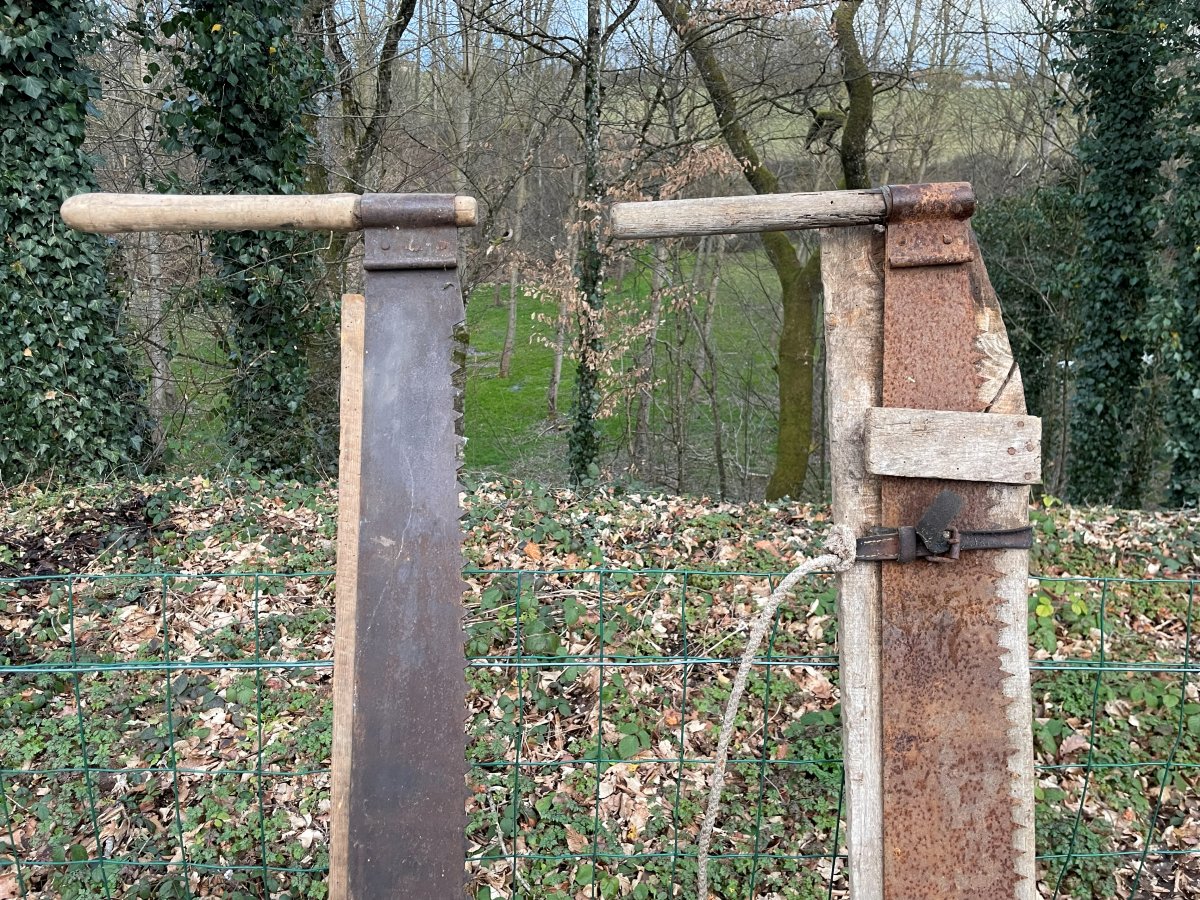 2 vielles scies de bucherons Bressans -photo-3