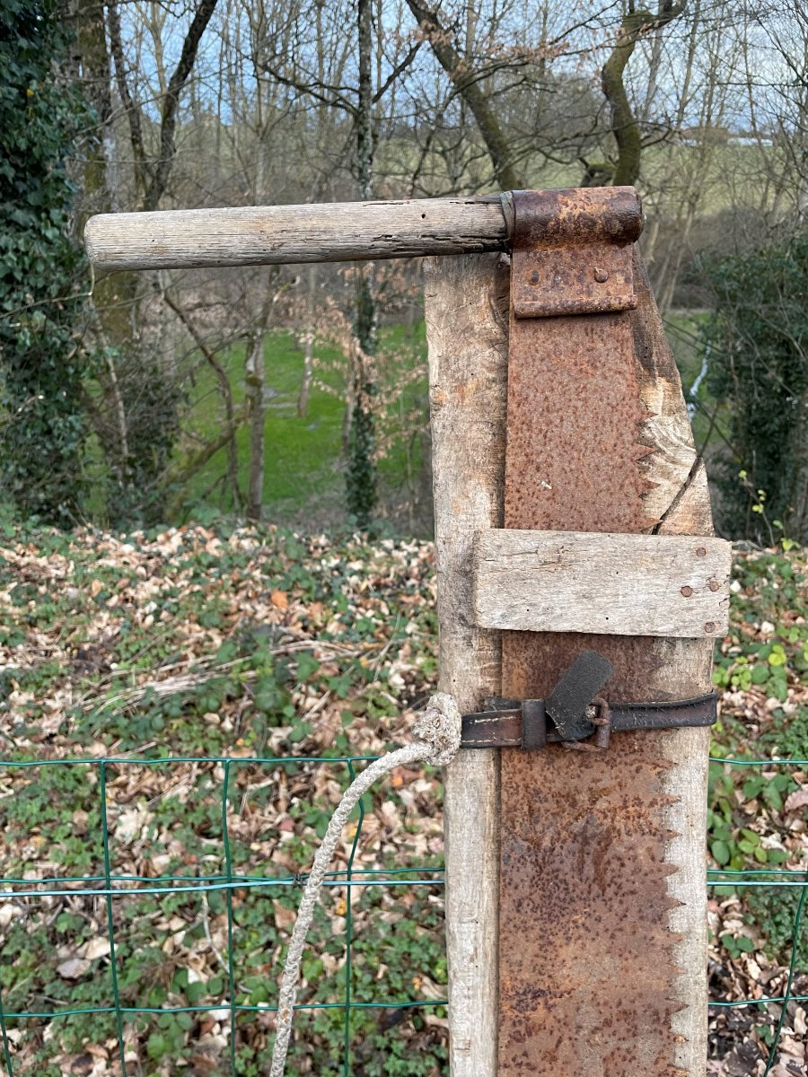 2 vielles scies de bucherons Bressans -photo-4