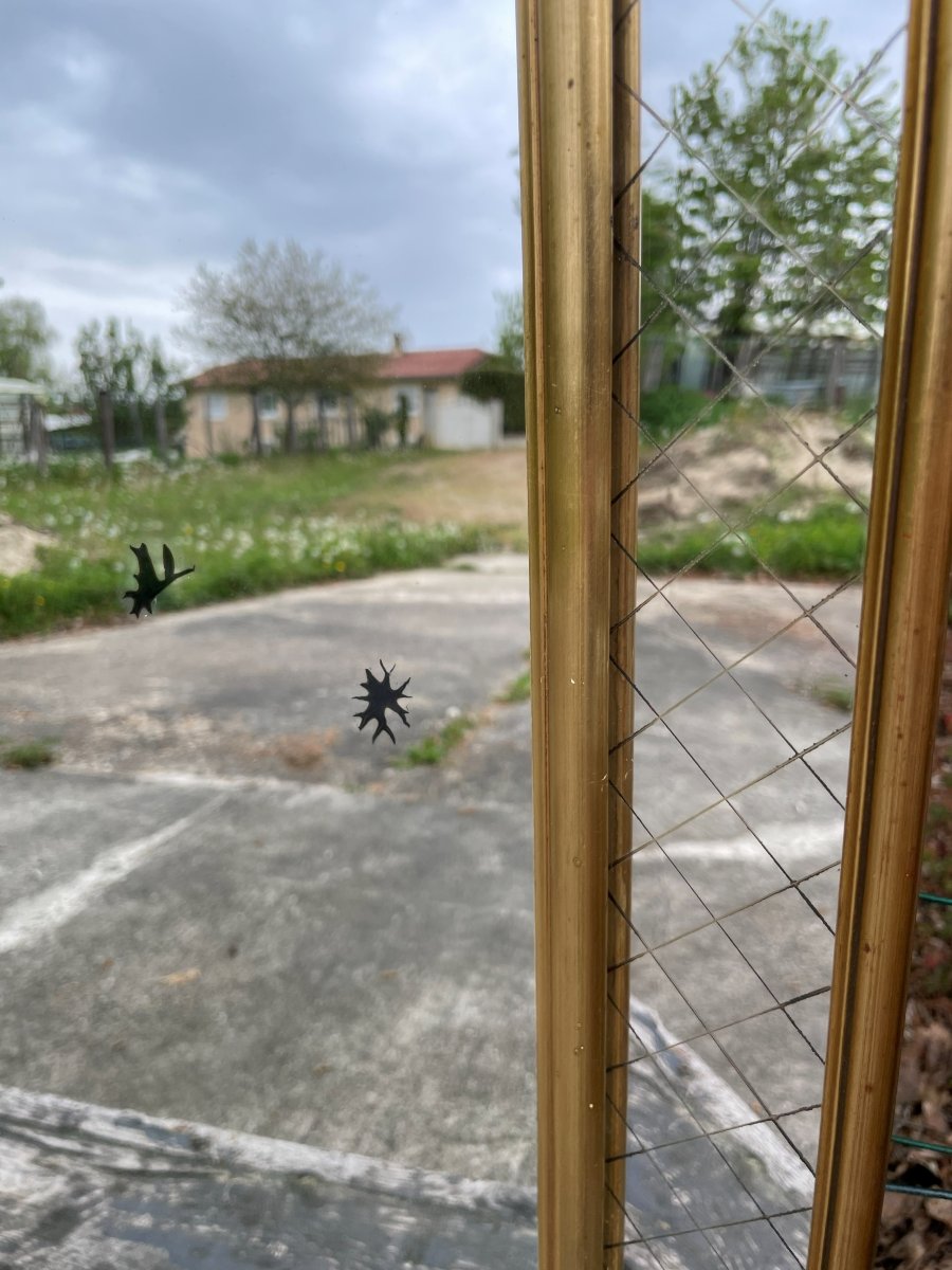 Mirror From The 1950s-60s-photo-2