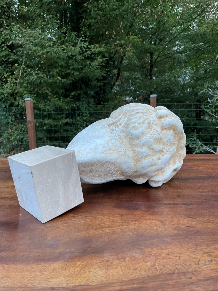 Tête de Hygie -photo-1