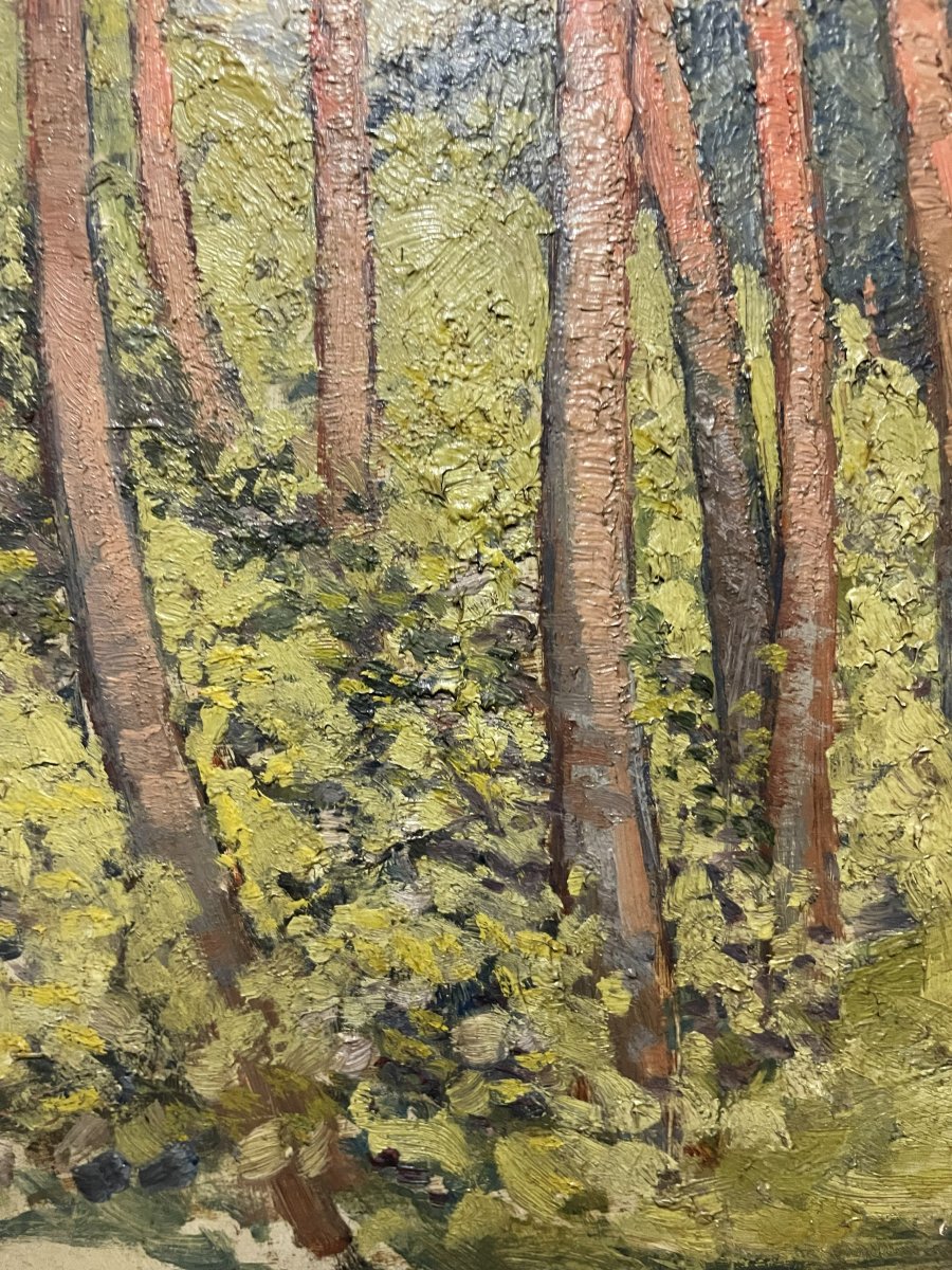 "trees" Paintings -photo-1