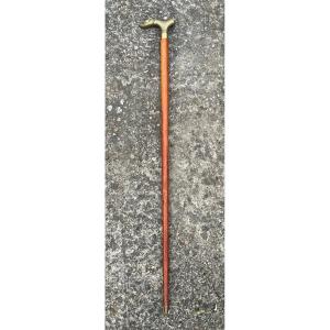 Dog Cane With A Drink System 