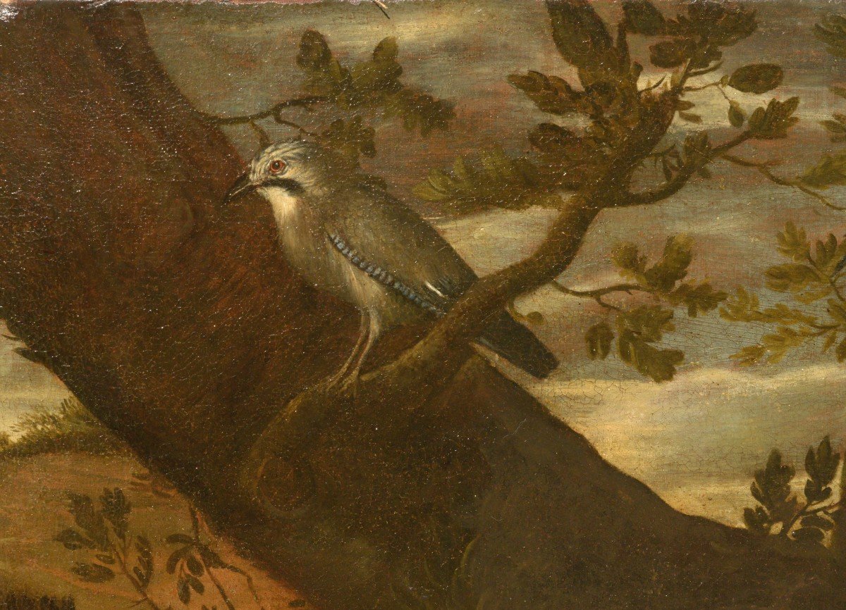 Grande Nature Morte de Chasse avec Chiens et Oiseaux, Signée et Datée 1669-photo-3