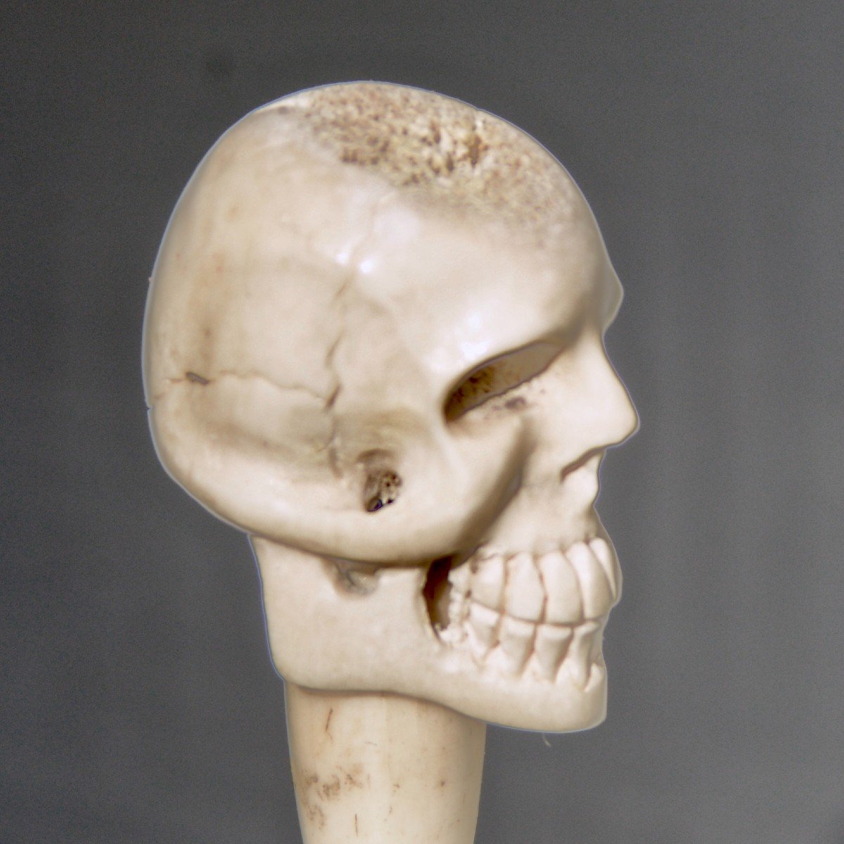 Vanitas Mémento Mori Crâne Sculpté en Os XIXème-photo-3