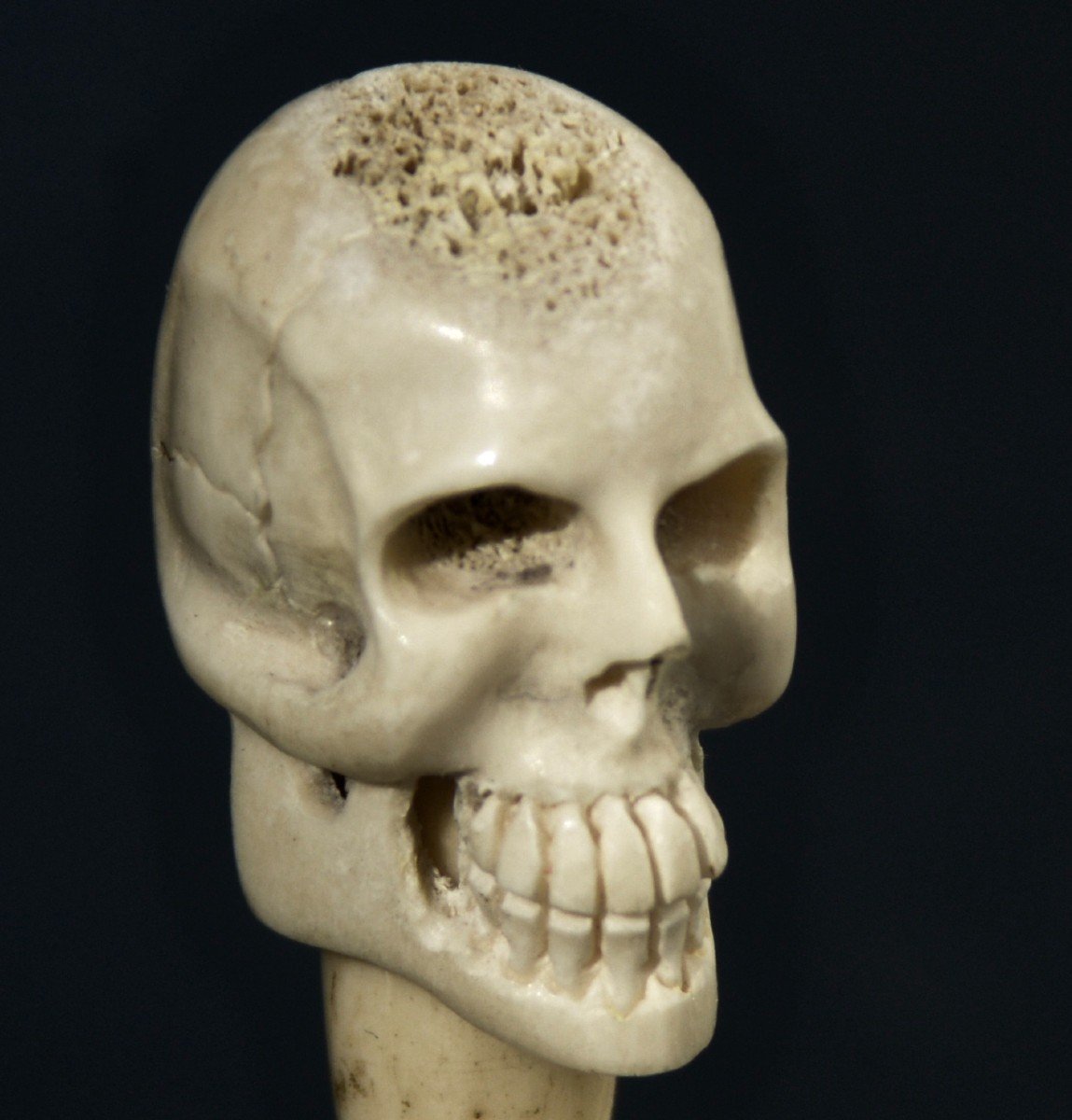 Vanitas Mémento Mori Crâne Sculpté en Os XIXème-photo-4