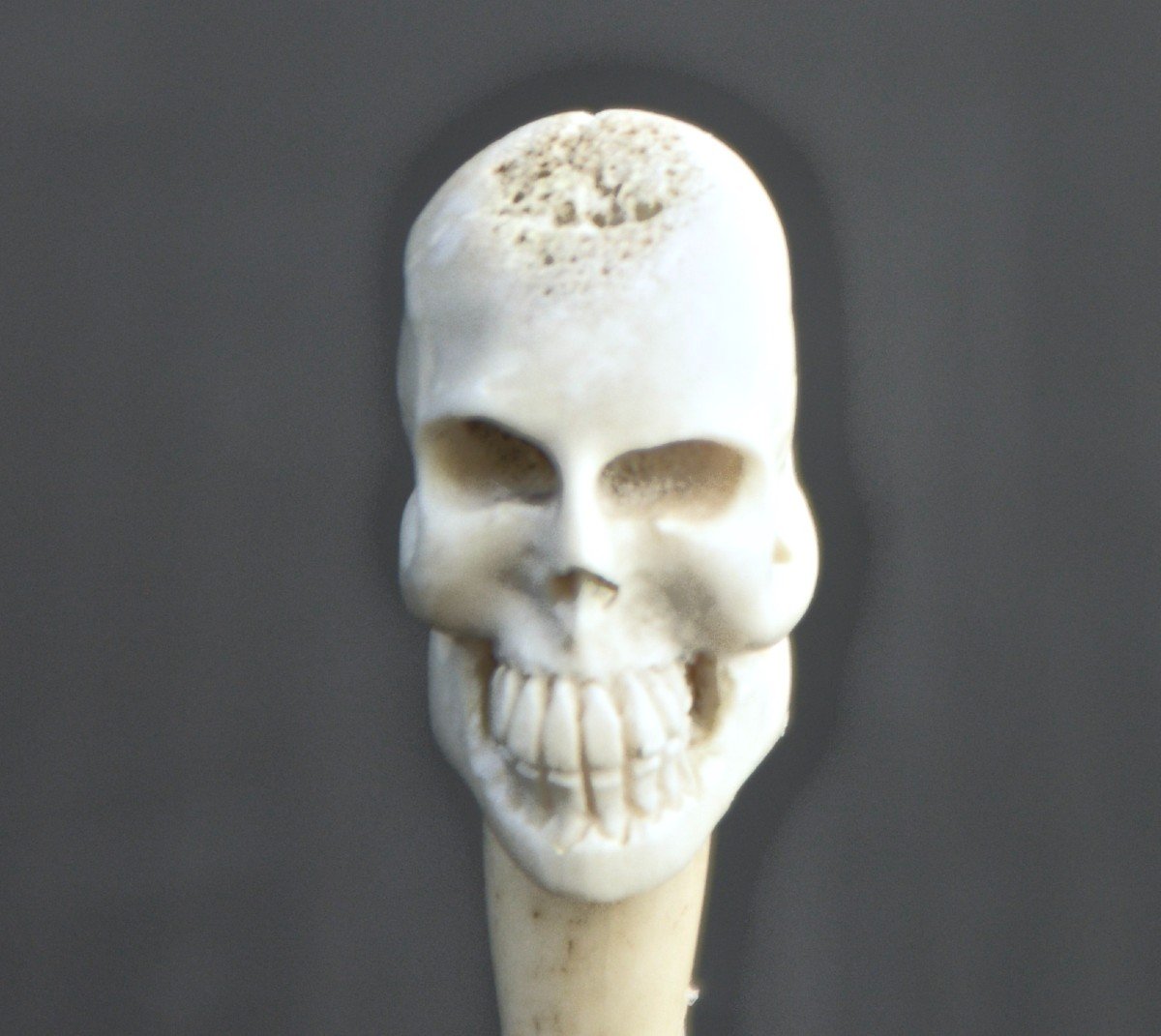 Vanitas Mémento Mori Crâne Sculpté en Os XIXème-photo-2