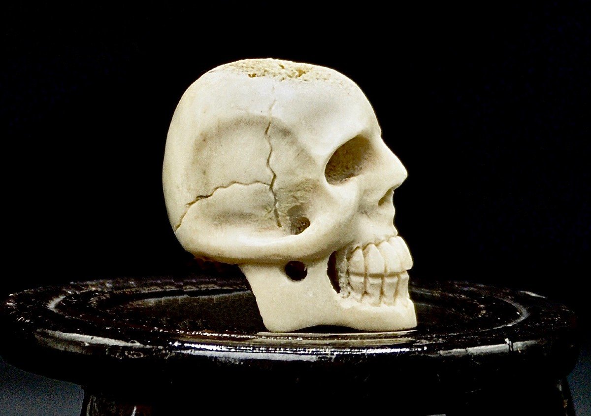 Vanitas Mémento Mori Crâne Sculpté en Os XIXème