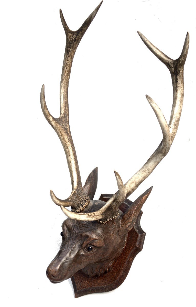 Deer Head In Carved Wood 19th Black Forest