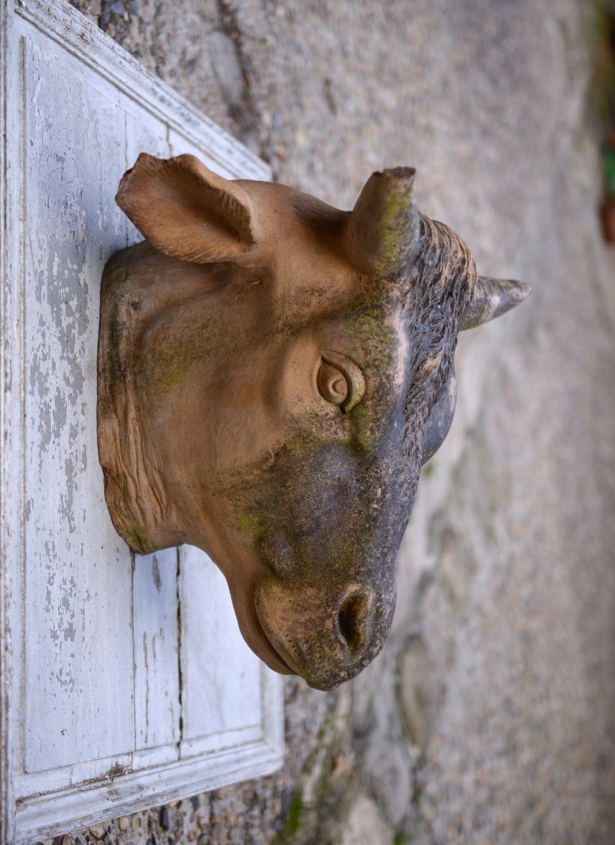 Butcher's Sign From The End Of The 19th Century, Terracotta Cow's Head-photo-2