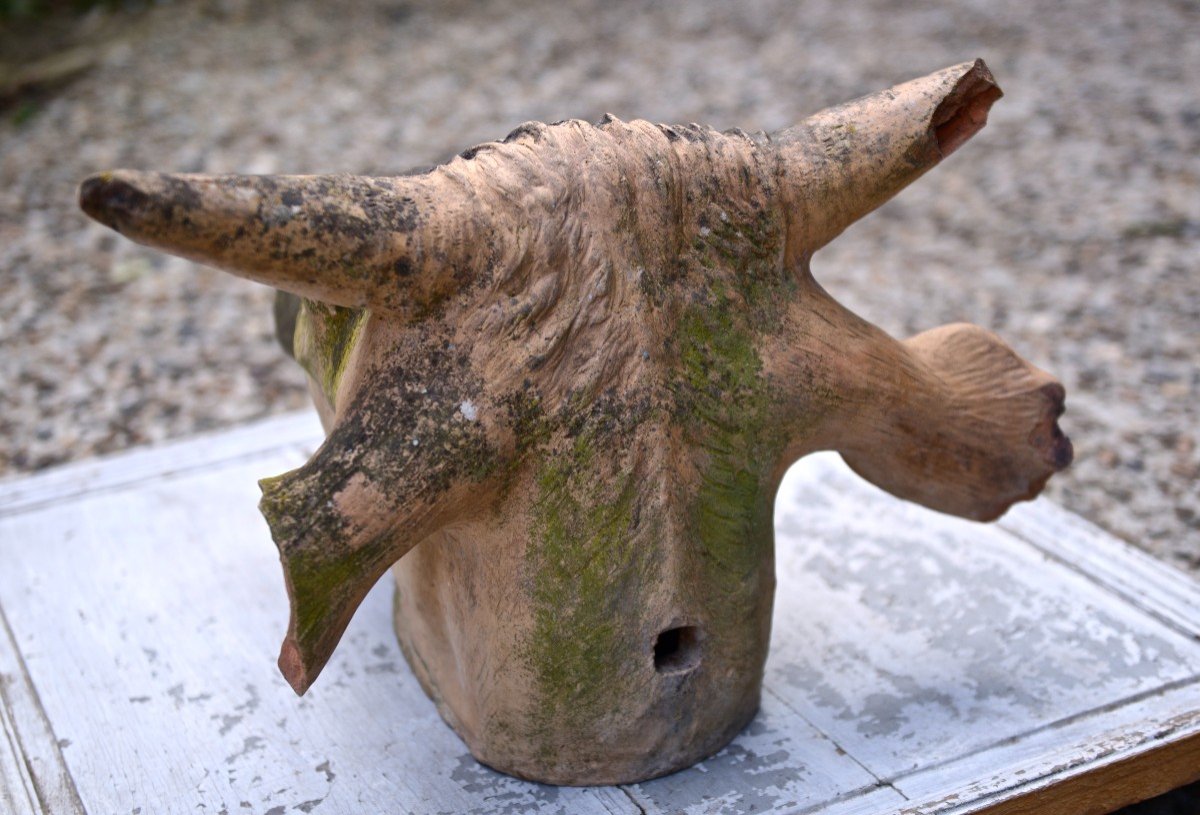 Butcher's Sign From The End Of The 19th Century, Terracotta Cow's Head-photo-1