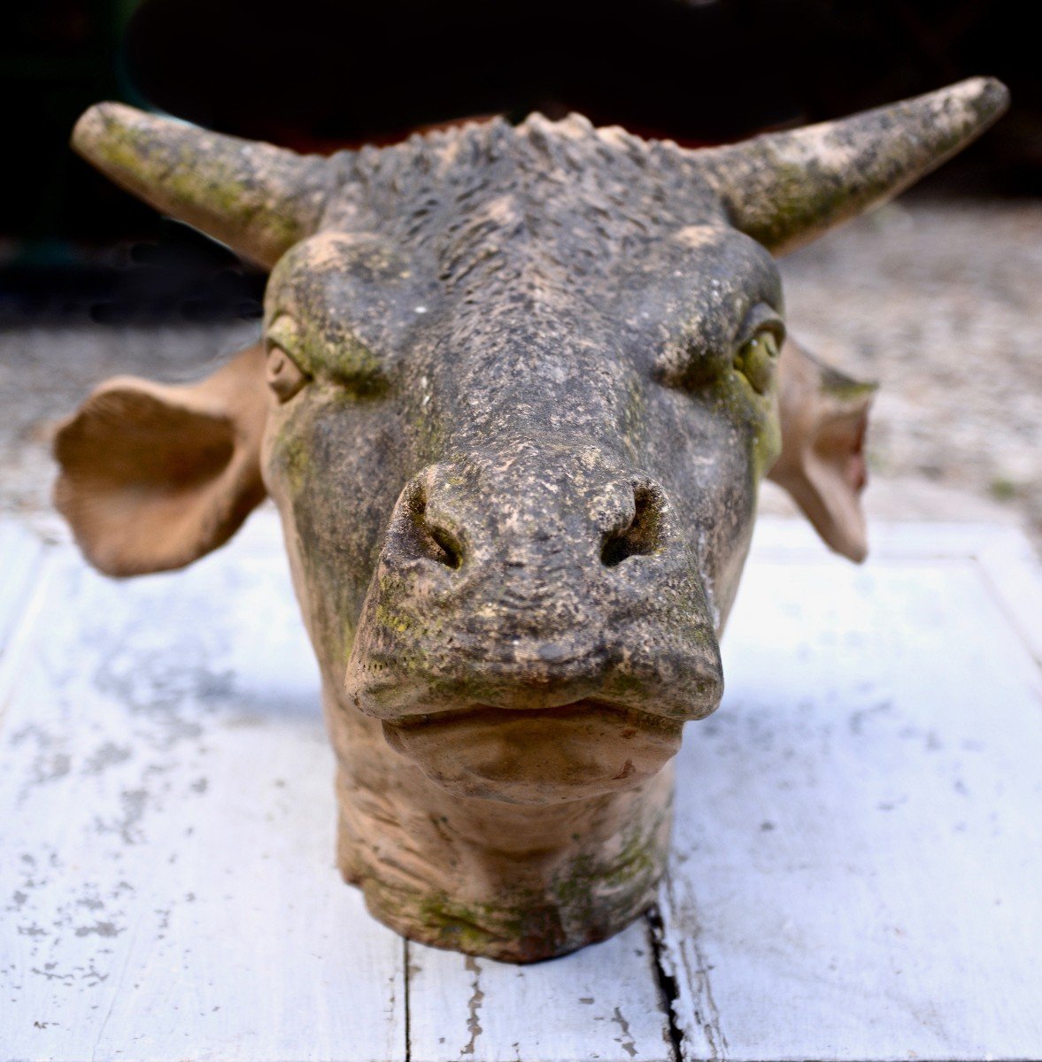 Butcher's Sign From The End Of The 19th Century, Terracotta Cow's Head-photo-5