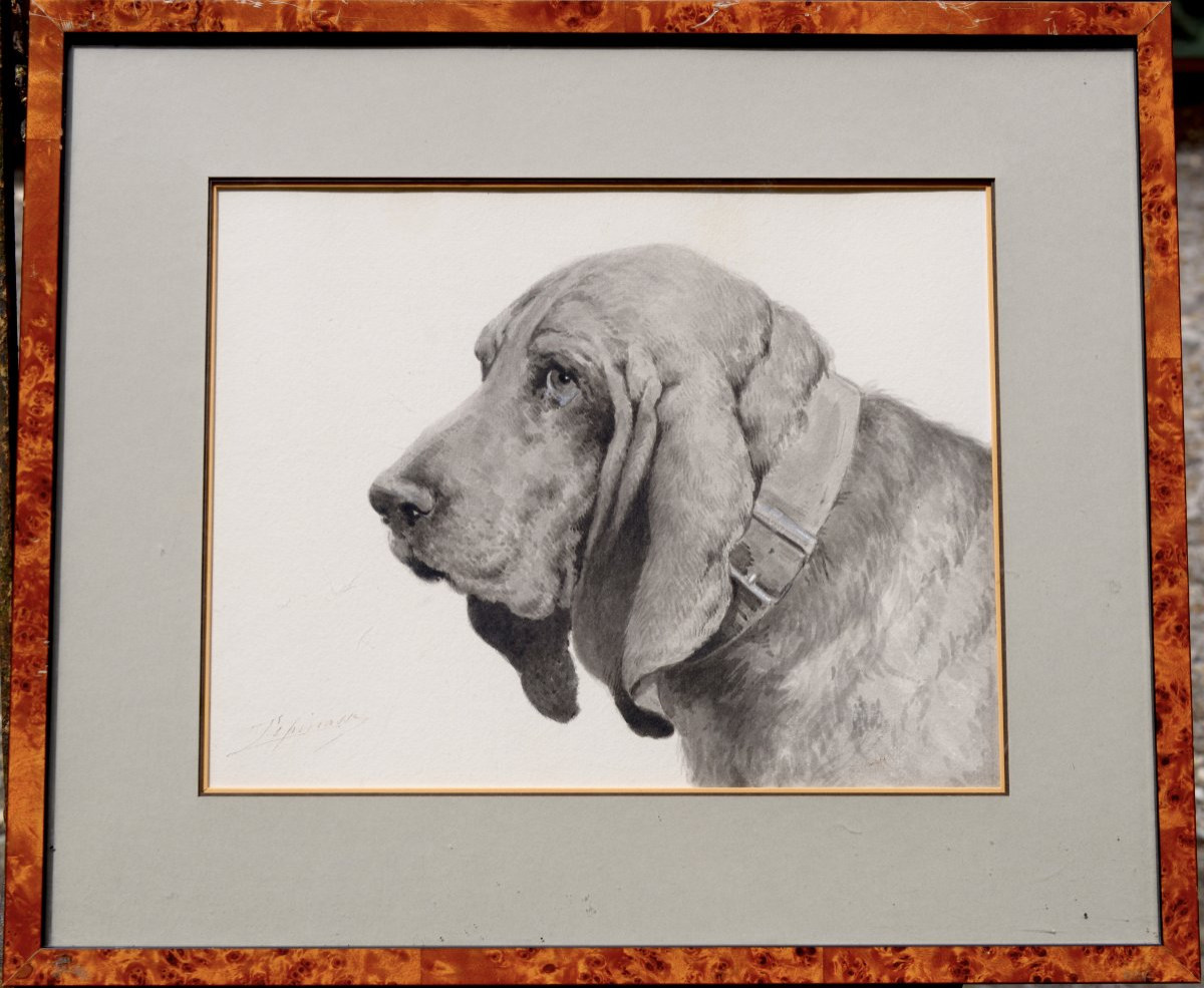Léon Espinasse, "portrait Of A Basset Hound" Watercolor Circa 1900-photo-2