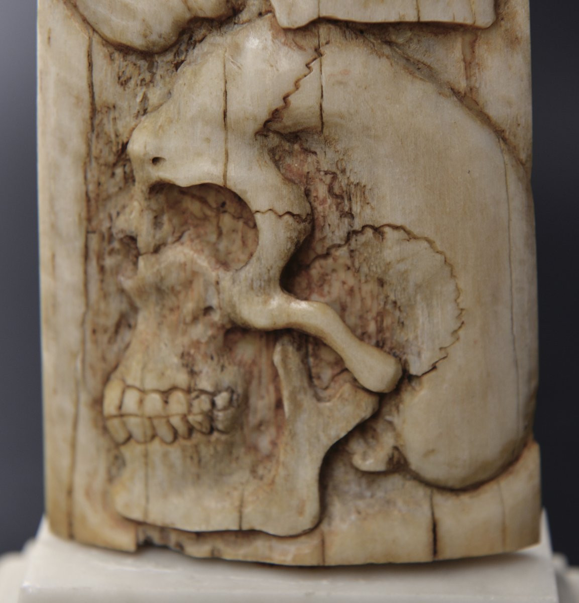 Memento Mori In Deer Bone-photo-2