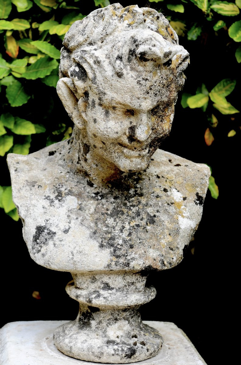 Buste de Faune sur socle-photo-2