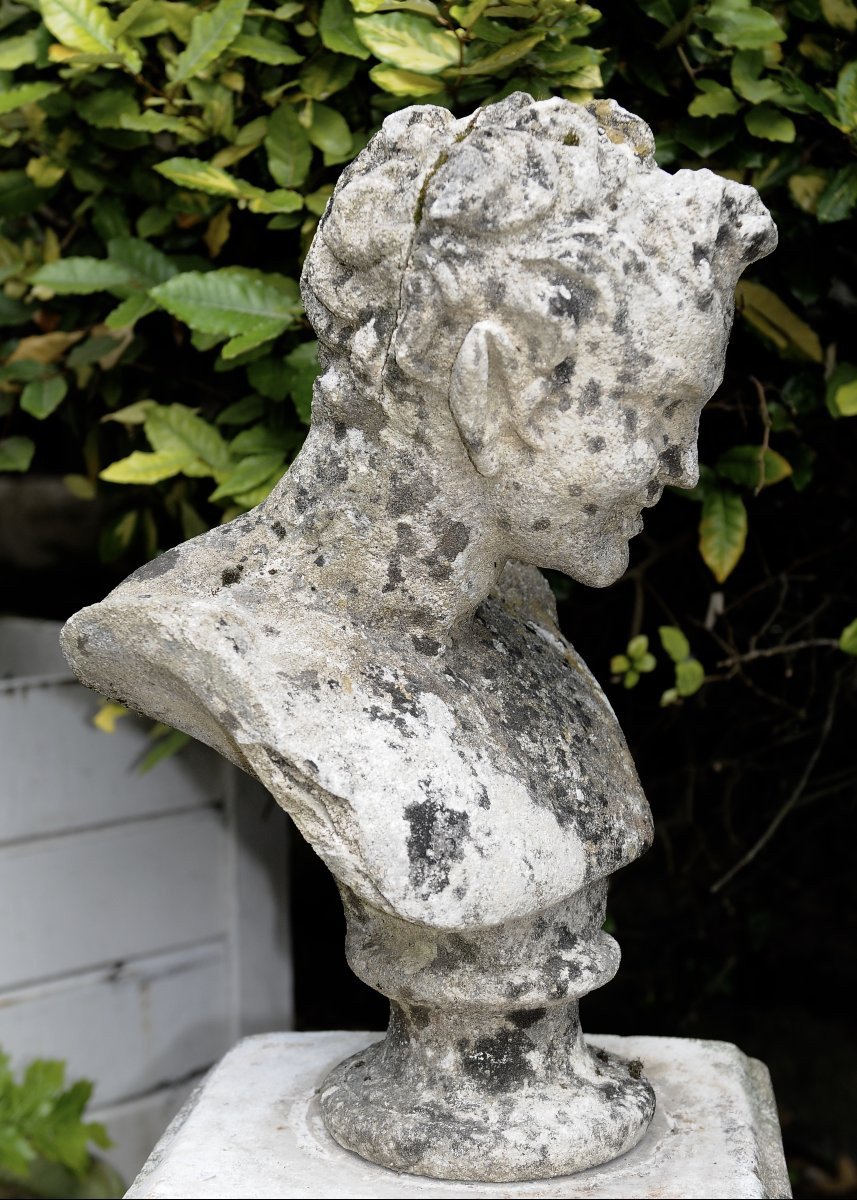 Buste de Faune sur socle-photo-3