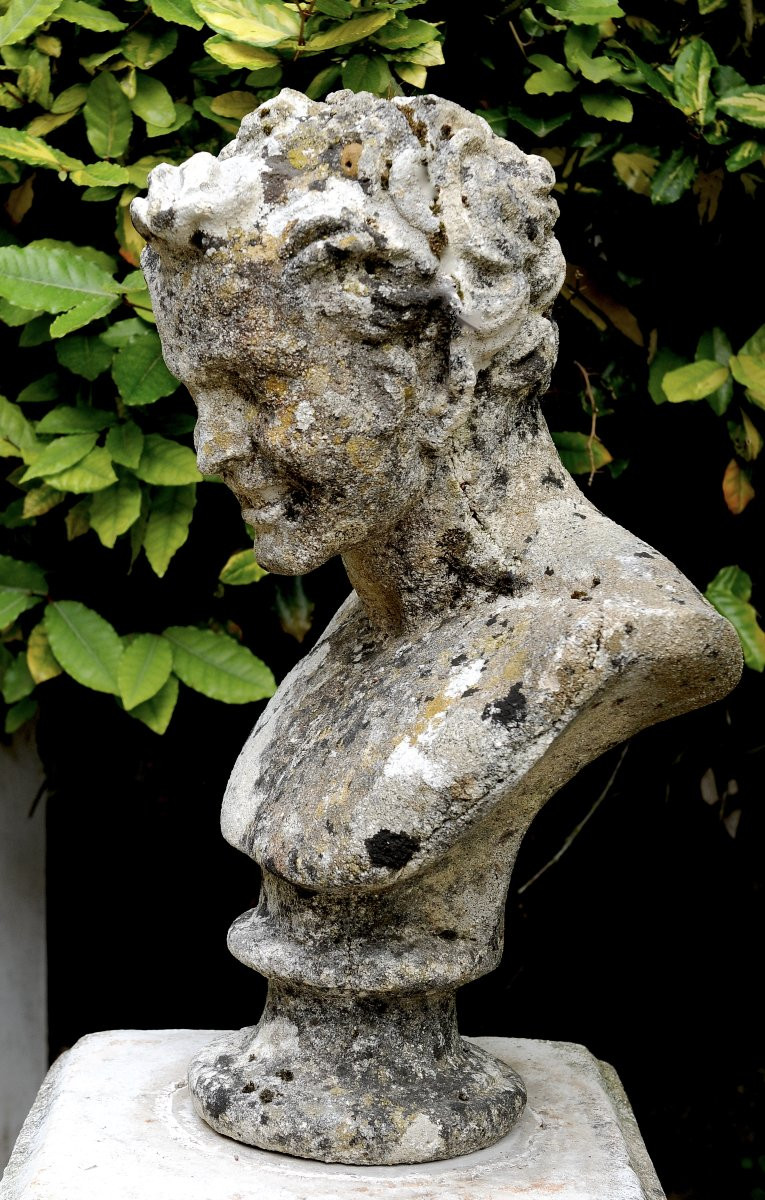 Buste de Faune sur socle-photo-4