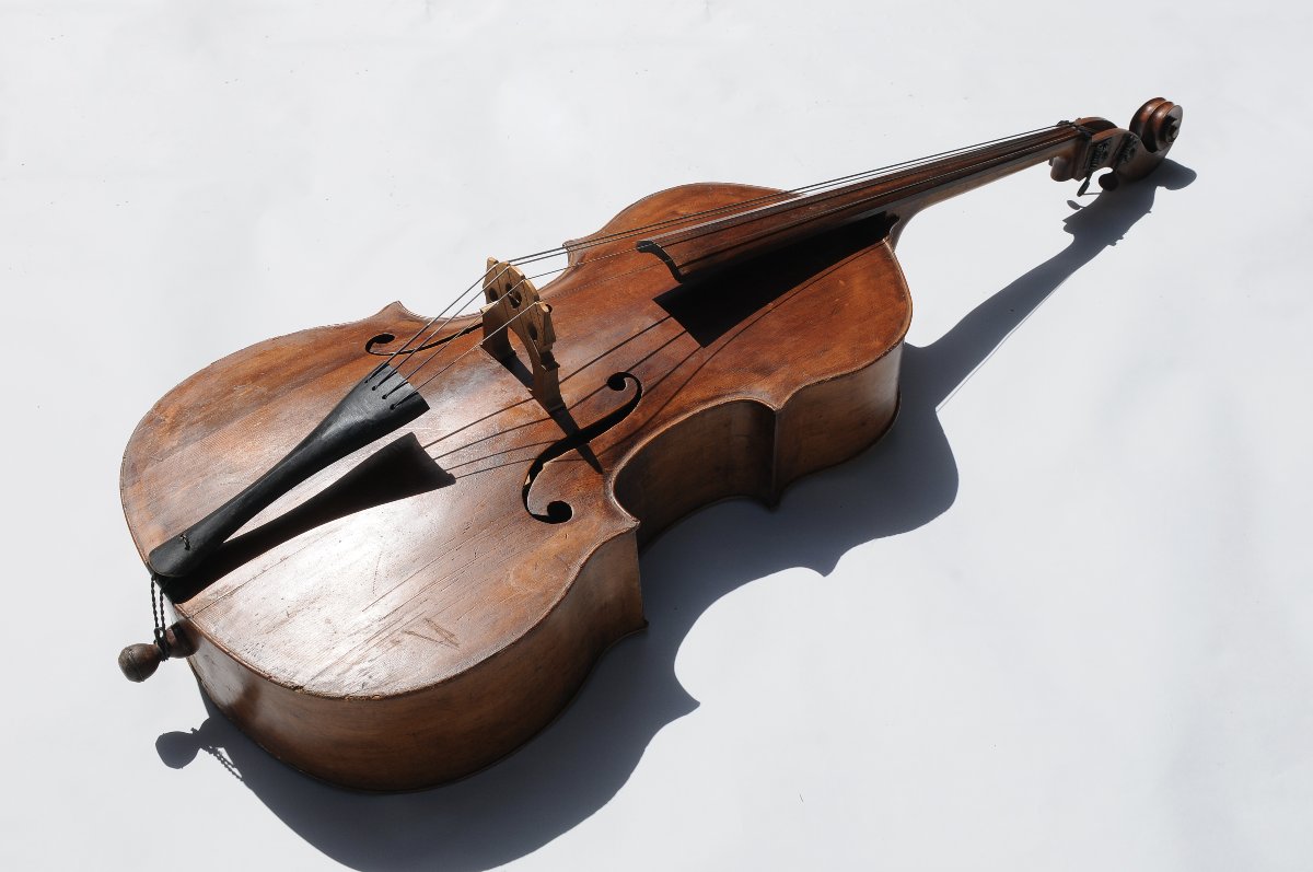 European Double Bass, Late 19th–early 20th Century-photo-2